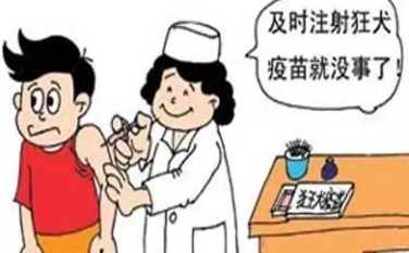 你真的了解狂犬病吗？